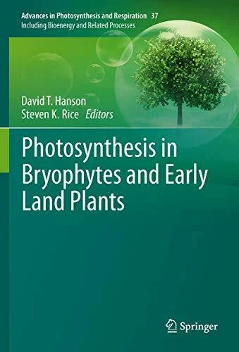 Photosynthesis bryophytes - in,