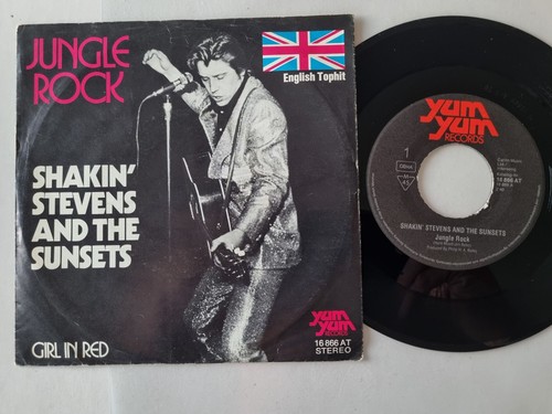 Shakin stevens and the - shakin',