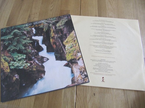 Cat stevens back earth - cat, stevens,