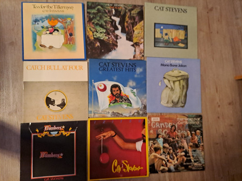 Sammlung cat stevens - lp,
