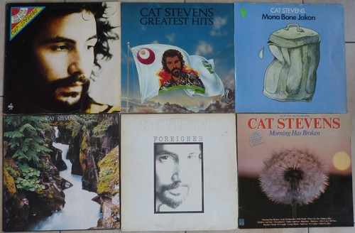 Schallplattensammlung von cat - schallplattensammlung,