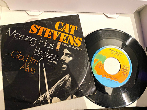 Cat stevens morning has - cat,